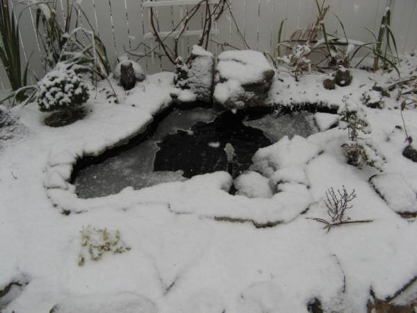Water Feature in Winter